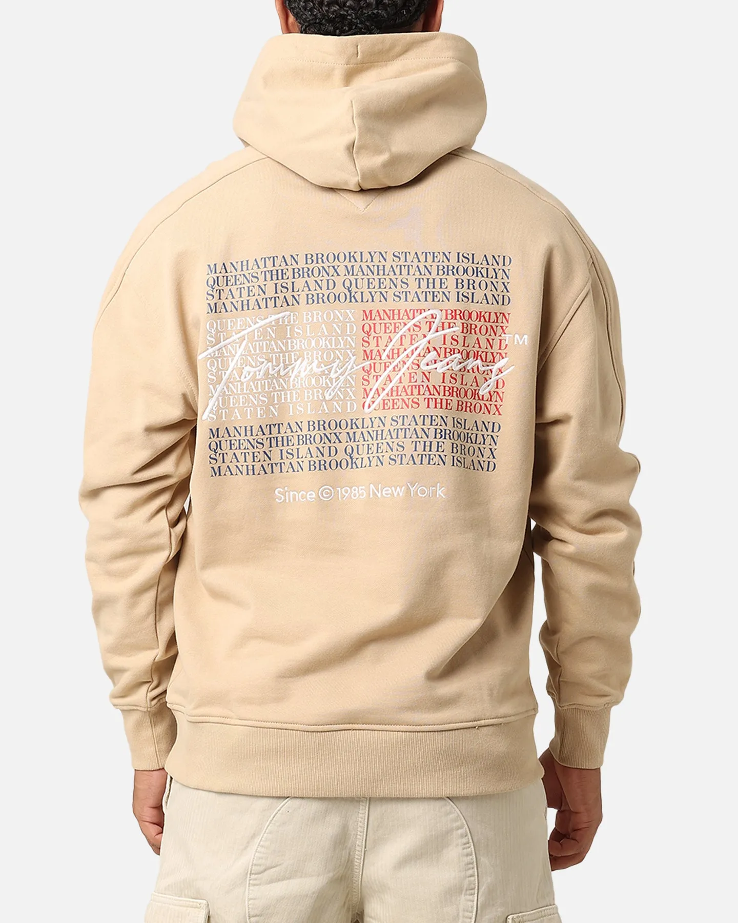 Tommy Jeans TJM Relax Washed DNA Hoodie Gentle Gold